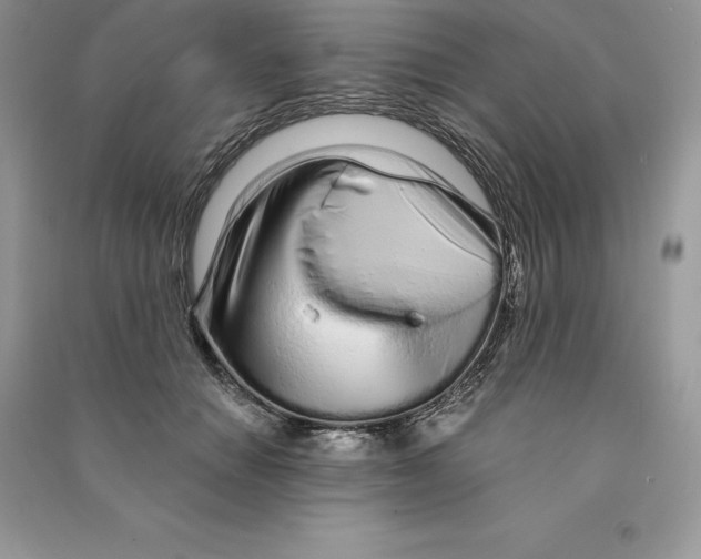 X0000090610654200708141352