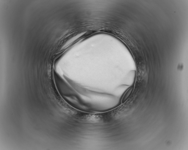 X0000090610656200708141352