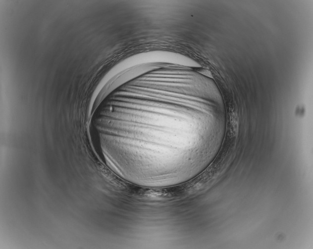 X0000090610657200708141352