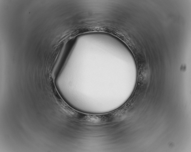 X0000090610658200708141352