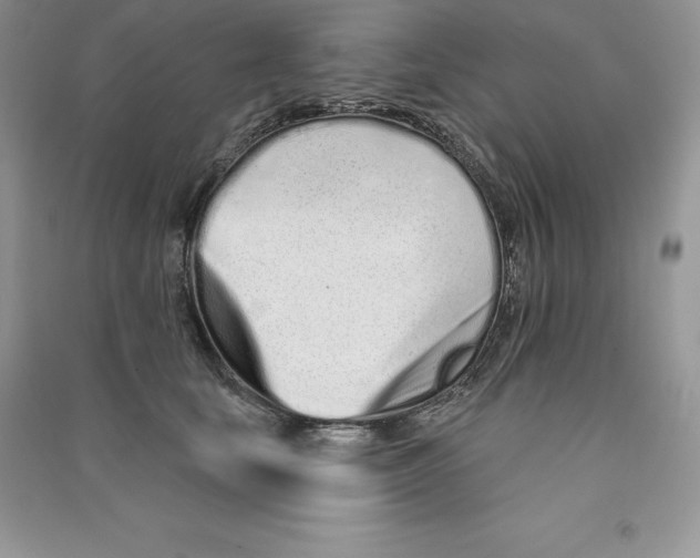 X0000090610659200708141352