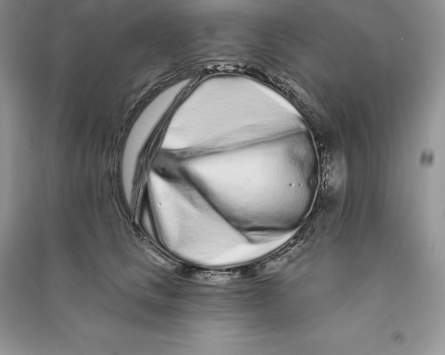 X0000090610661200708141352