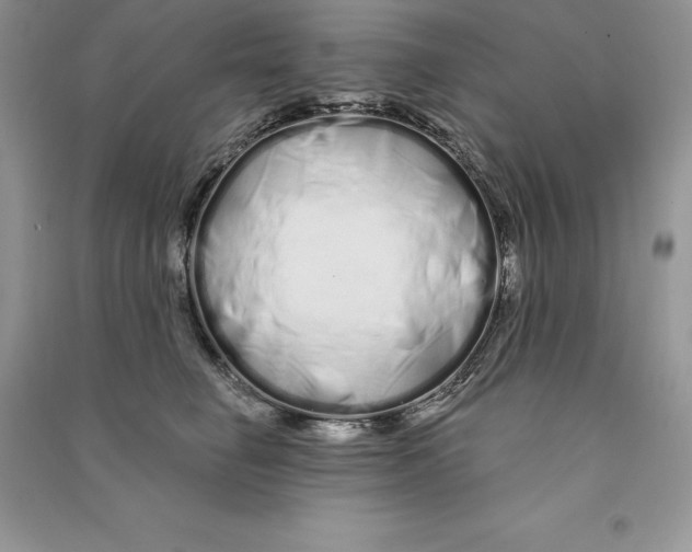 X0000090610662200708141352