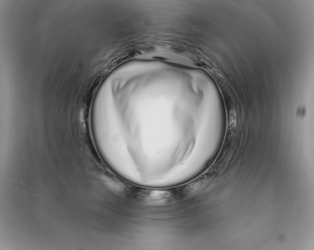 X0000090610663200708141352