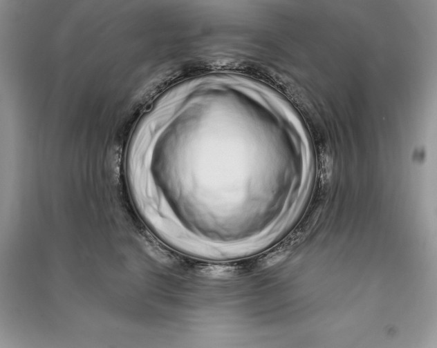 X0000090610664200708141352