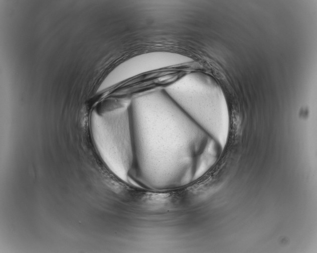 X0000090610665200708141352