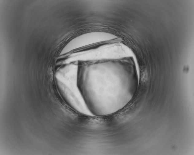 X0000090610666200708141352