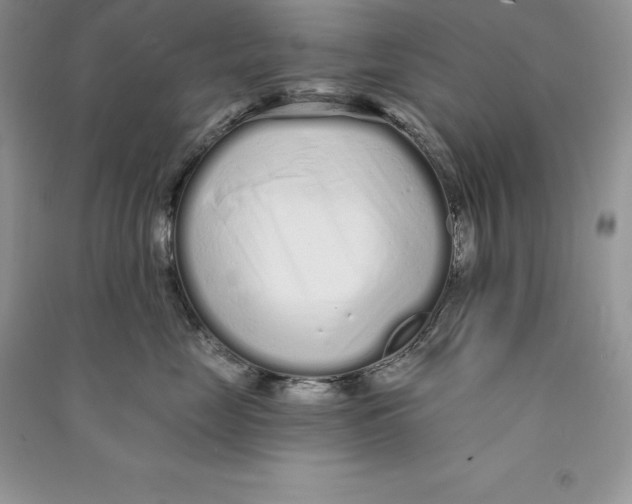 X0000090610669200708141352