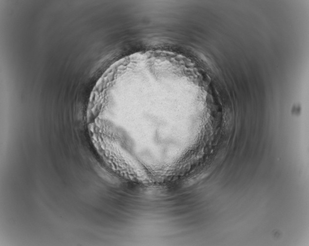 X0000090610670200708141352