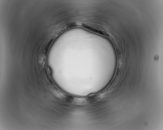 X0000090610671200708141352