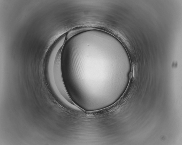 X0000090610675200708141352