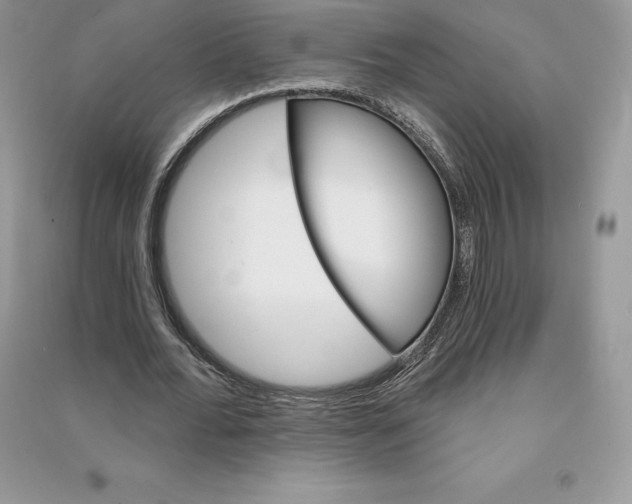 X0000090610676200708141352