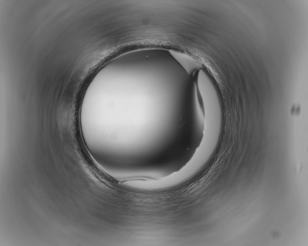 X0000090610677200708141352