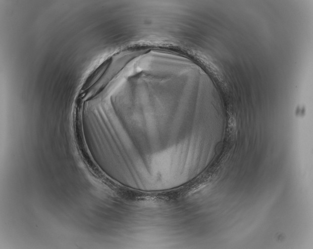 X0000090610678200708141352