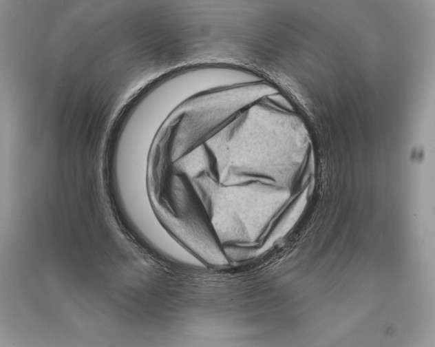 X0000090610680200708141352