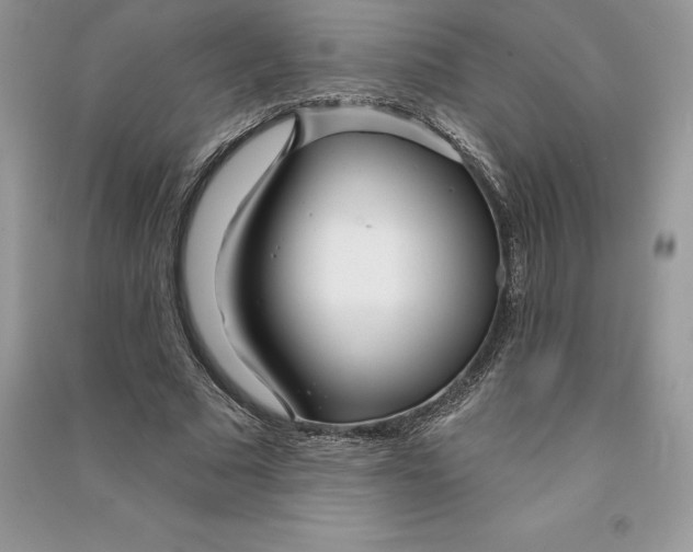 X0000090610681200708141352