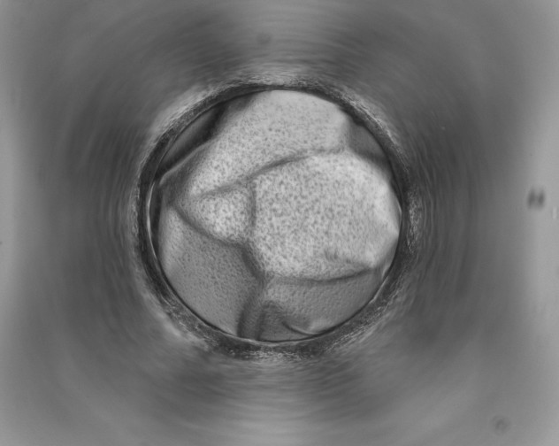 X0000090610682200708141351