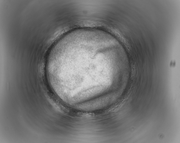 X0000090610683200708141351