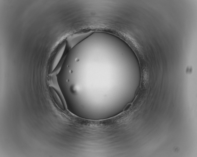 X0000090610684200708141351