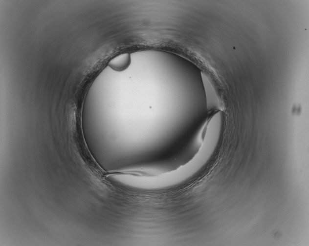 X0000090610685200708141351