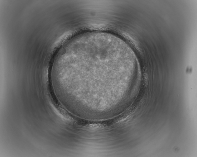 X0000090610686200708141351