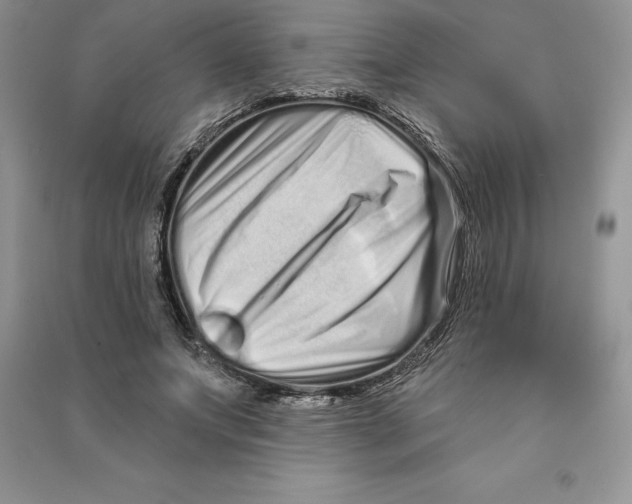 X0000090610687200708141351