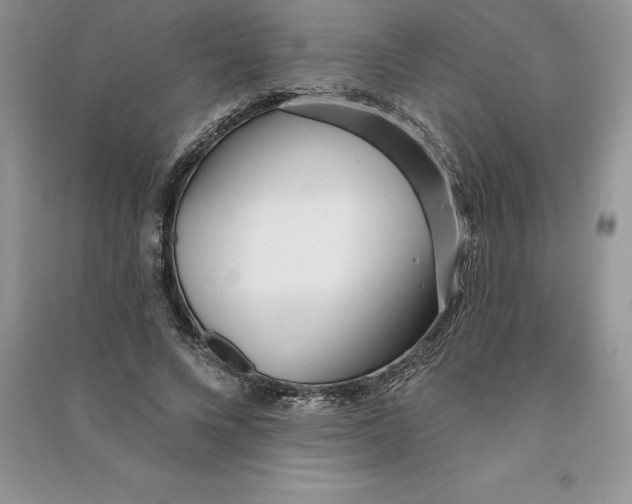 X0000090610688200708141351