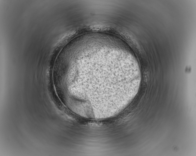 X0000090610690200708141351