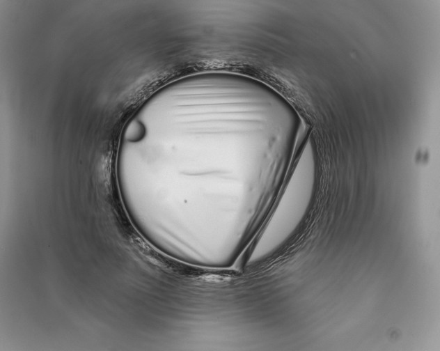 X0000090610691200708141351