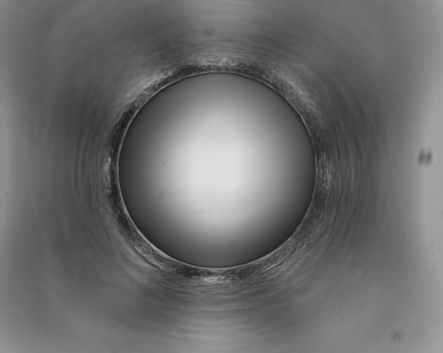 X0000090610692200708141351