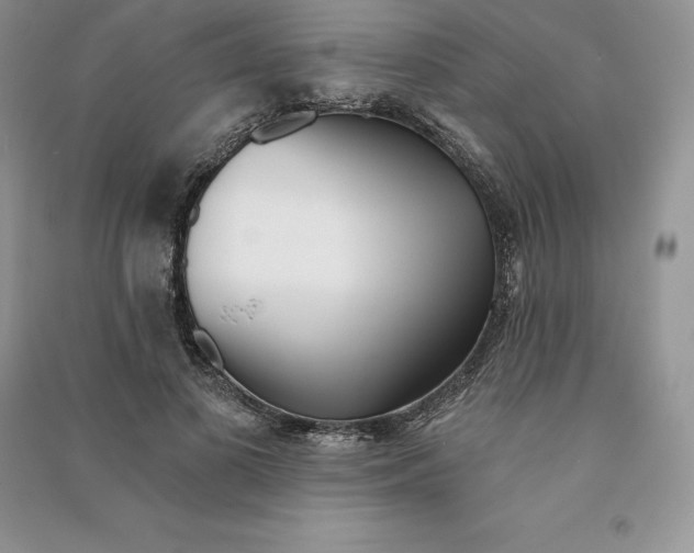 X0000090610693200708141351