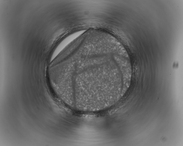 X0000090610694200708141351