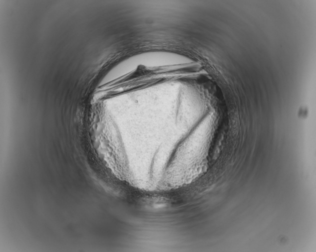 X0000090610695200708141351