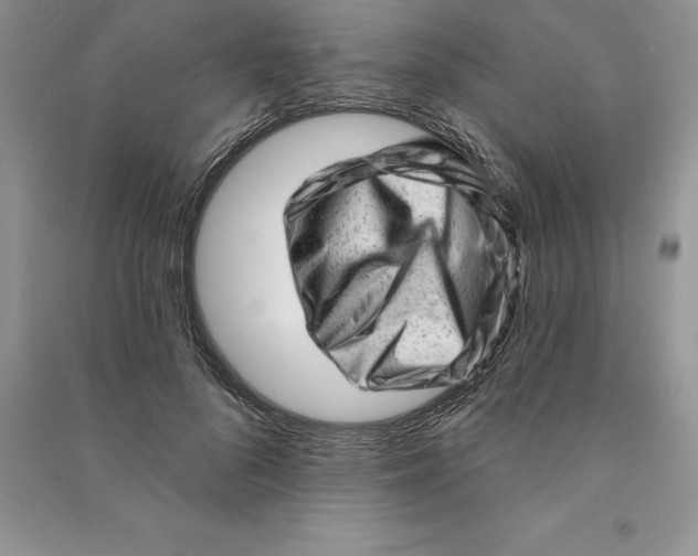 X0000090610696200708141351