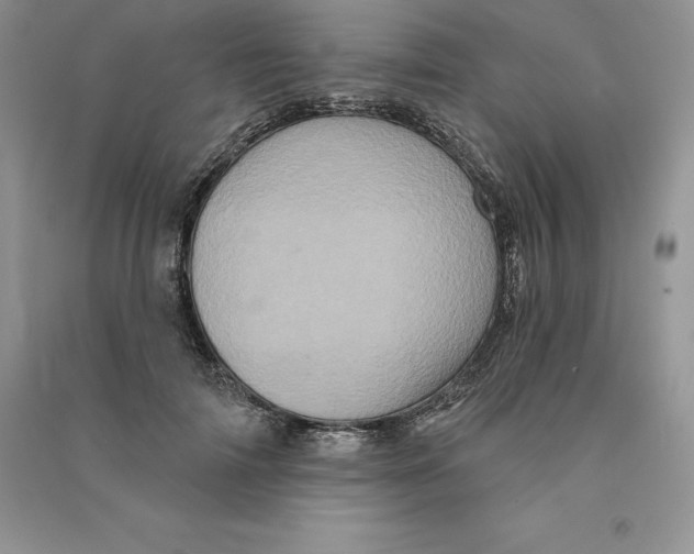 X0000090610698200708141351