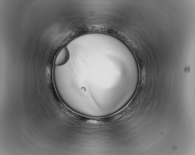 X0000090610699200708141351