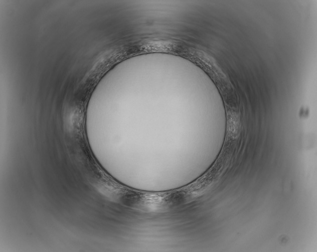 X0000090610701200708141351