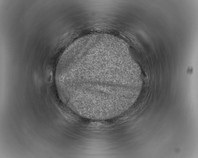 X0000090610703200708141351