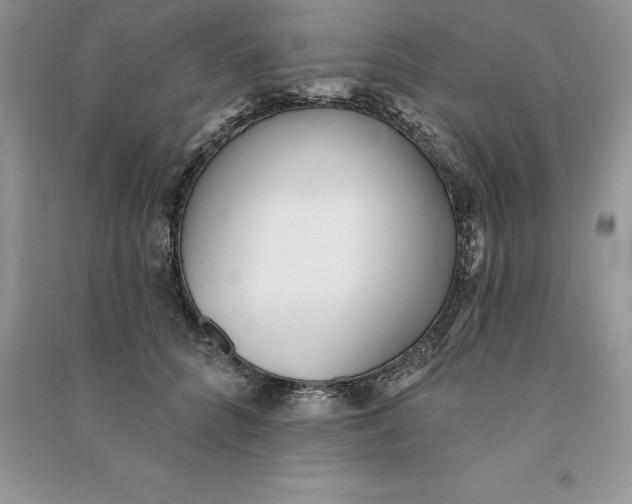 X0000090610704200708141351