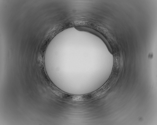 X0000090610705200708141351