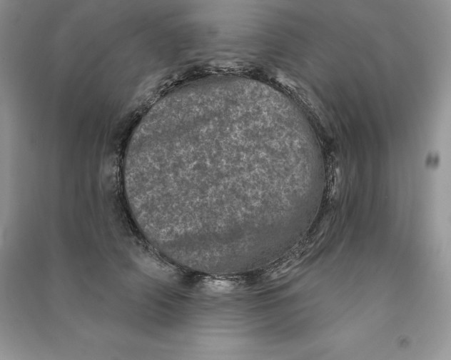 X0000090610706200708141351