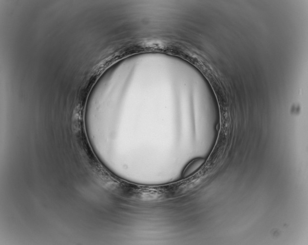 X0000090610707200708141351