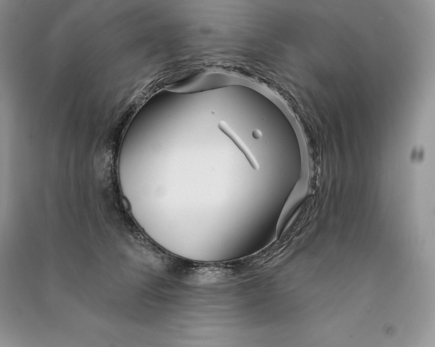 X0000090610708200708141351