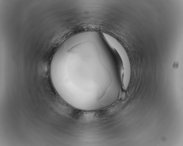 X0000090610709200708141351