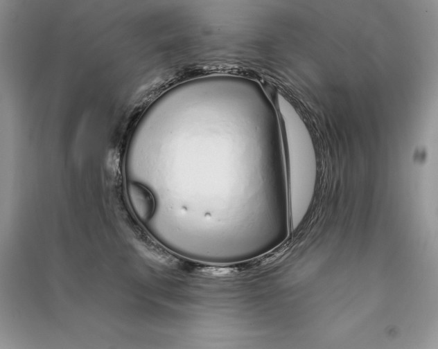 X0000090610711200708141351