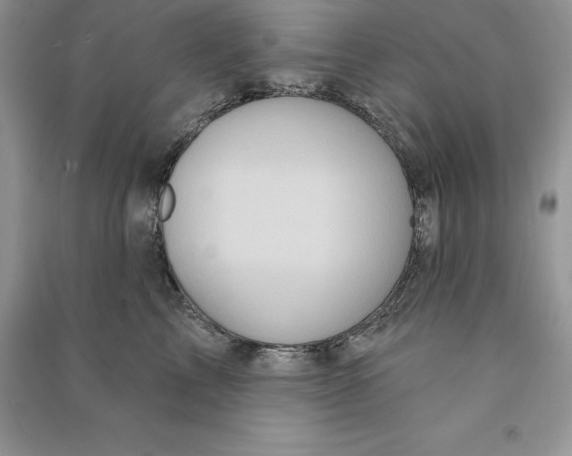 X0000090610713200708141351