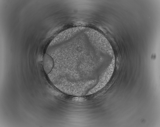 X0000090610714200708141351