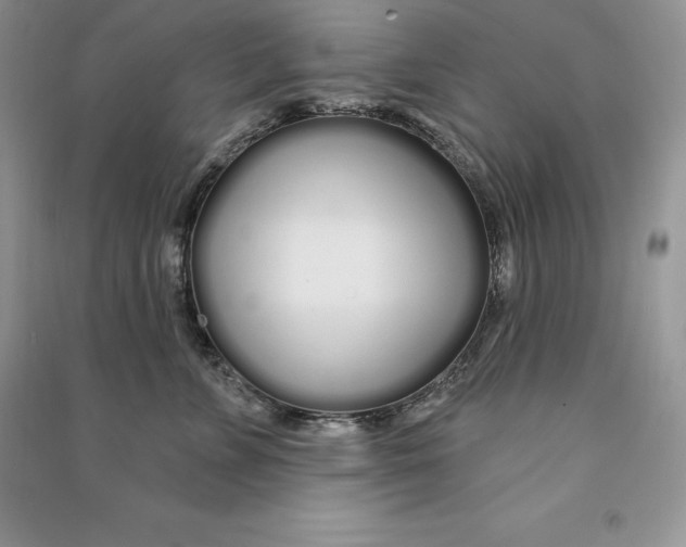 X0000090610715200708141351