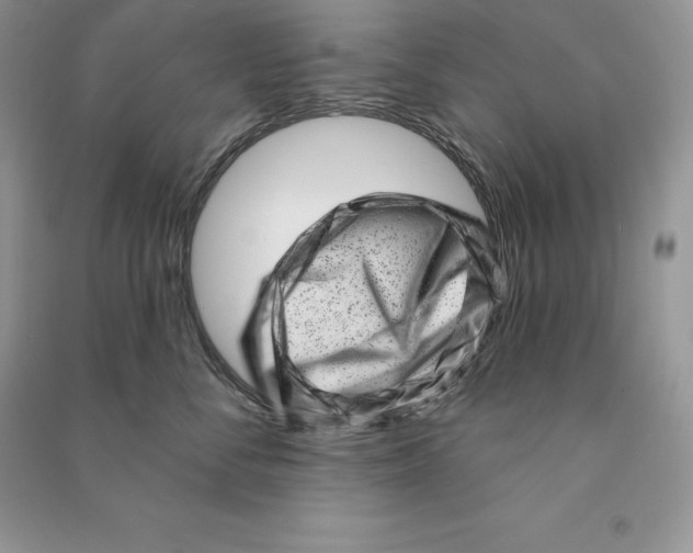 X0000090610716200708141351