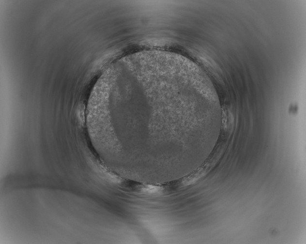 X0000090610718200708141351